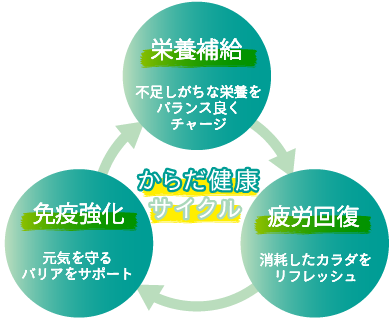 からだ健康サイクル