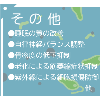 研究効果_その他