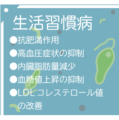 研究効果_生活習慣病