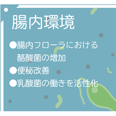 研究効果_腸内環境