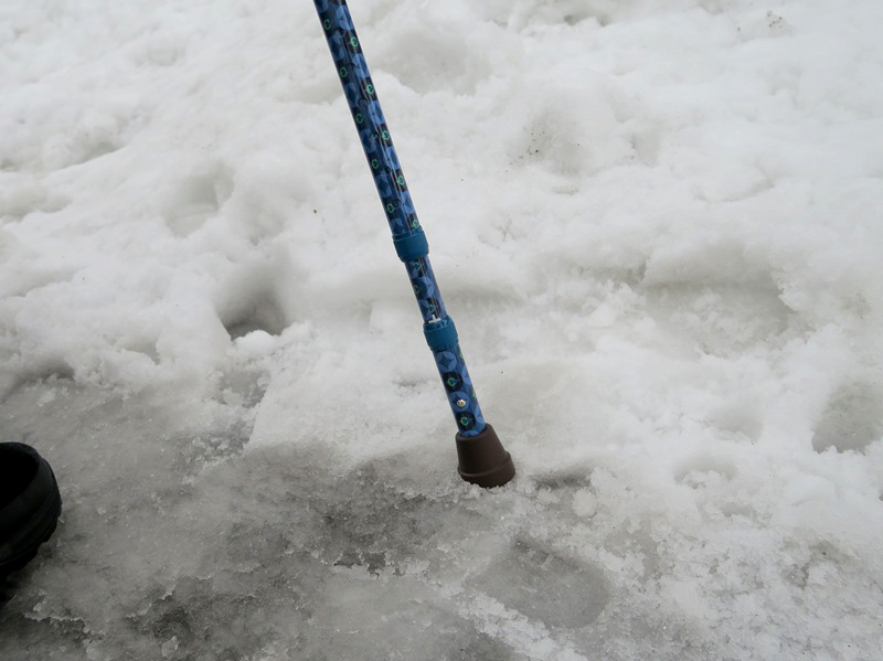 雪をしっかりキャッチ