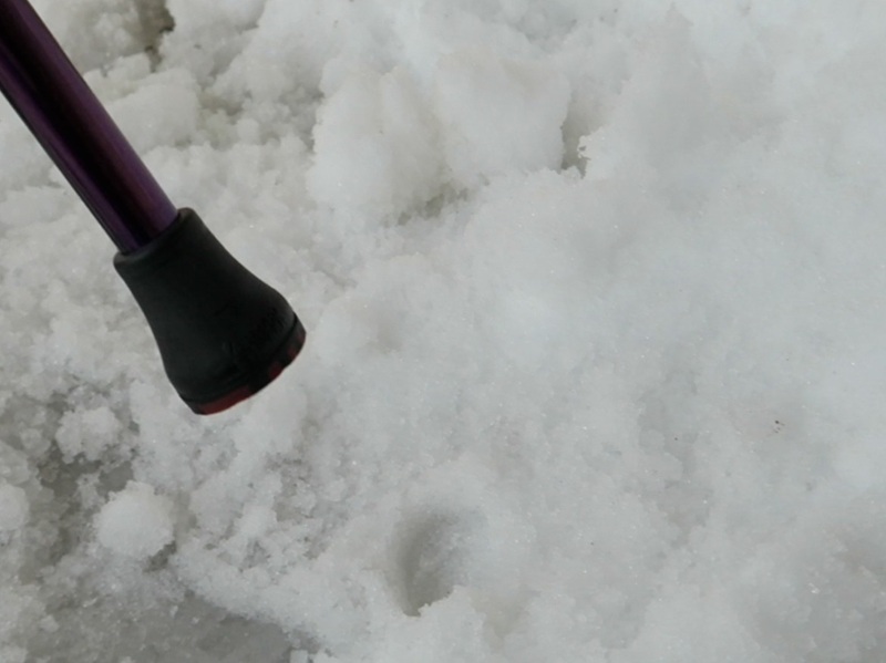 滑りにくい安全先ゴムの見た目