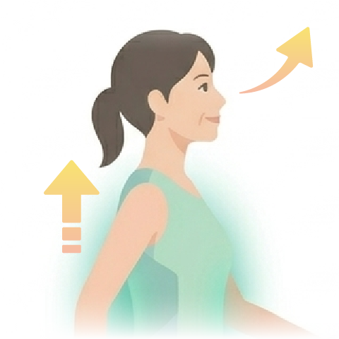 背筋が伸び、バランス整うイメージ図